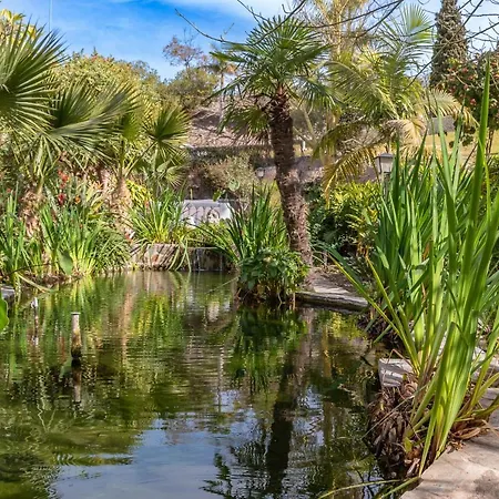 Palmas 8b Oasis Lägenhet *